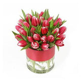 Cymbidium goeringii