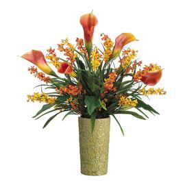 Cymbidium goeringii